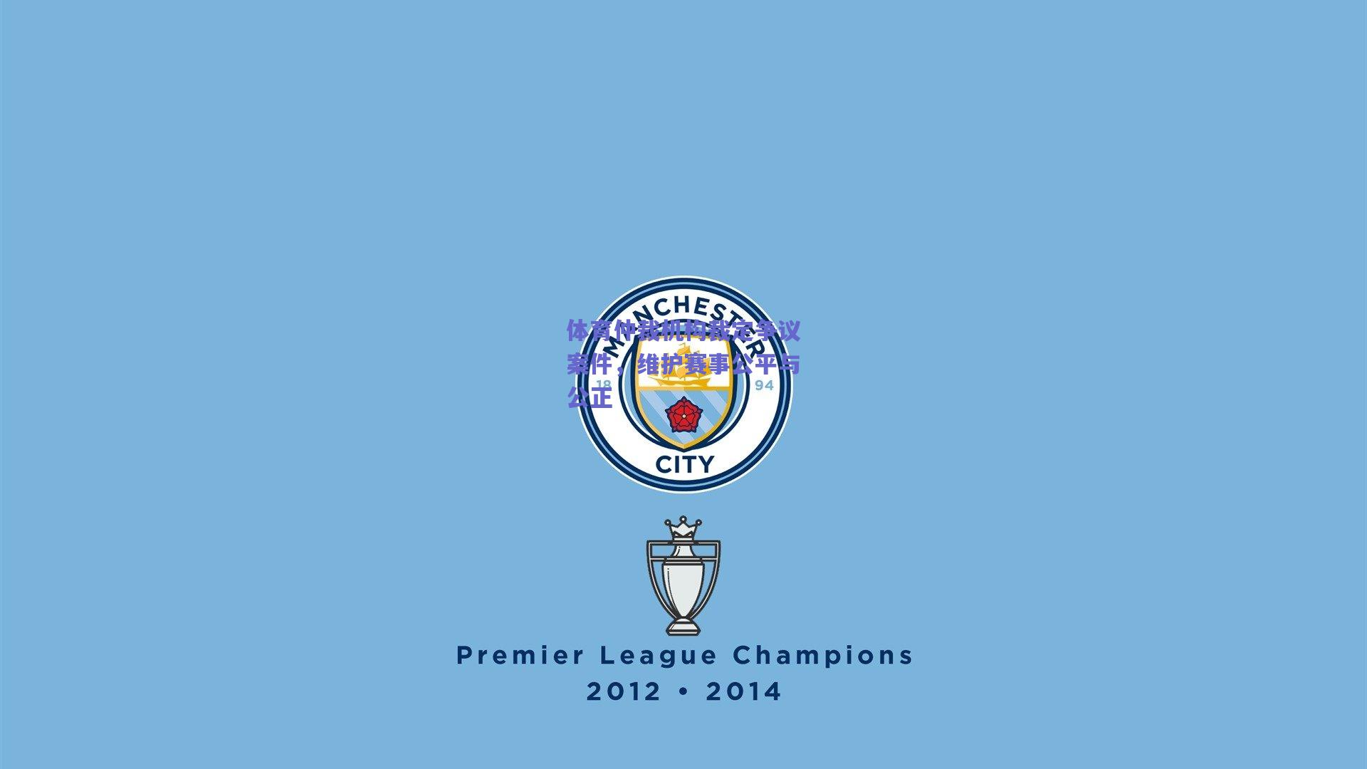 体育仲裁机构裁定争议案件，维护赛事公平与公正